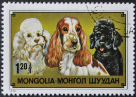 Інше Другое ^/--/^ Монголия Фауна Собаки 1978 ^_^^^ Монголія Фауна Собаки 1978 - фото фото фото