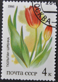 Інше Другое ^/--/^ СССР Флора Цветы Тюльпан 1986 ^_^^^ СРСР Флора Квіти Тюльпан 1986 - фото фото фото