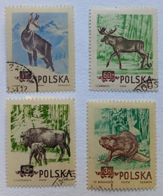Польща Польша ^/--/^ Польша 1954 Животные, фауна, гашеные ^_^^^ Польща 1954 Тварини, фауна, гашені - фото фото фото