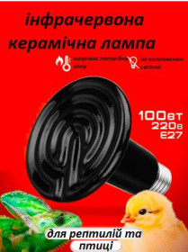 Інкубатори Инкубаторы ^/--/^ Лампа інфрачервона керамічна 100 Вт для обігрівання.брудер для обігрівання курчат, потераріумів ^_^^^ Лампа инфракрасная керамическая 100 Вт для обогрева. брудер для обогрева цыплят, потерариумов - фото фото фото