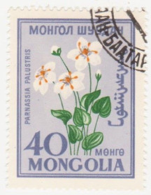 Монголія Монголия ^/--/^ Монголия 1960 г. № 190 гашеная ^_^^^ Монголія 1960 р. No 190 гашена - фото фото фото