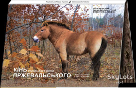 Пам'ятні і ювілейні Памятные и юбилейные ^/--/^ Чорнобиль Відродження Кінь Пржевальського у сувенірній упаковці 2021 буклет ^_^^^ Чернобыль. Возрождение. Лошадь Пржевальского 2021 - фото фото фото