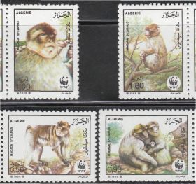 Алжир Алжир ^/--/^ Алжир 1988 WWF МАКАКА ОБЕЗЬЯНА ПРИМАТ ФАУНА ЖИВОТНЫЕ 4 /--/ м** EUR 8.- Mi.972-975 Yvert Nr.928-931 ^_^^^ Алжир 1988 WWF МАКАКА ОБЕЗЬЯНА ПРИМАТ ФАУНА ТВОТНІ 4 /--/ М** EUR 8.- Mi.972-975 Yvert Nr.928-931 - фото фото фото