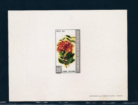 Інше Другое ^/--/^ Дагомея Флора Цветы Люкс-блок 1975 ^_^^^ Флора Квіти Люкс-блок 1975 - фото фото фото