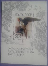 СРСР - СССР - ^/--/^ СССР 1989 фауна птицы СК блок 214 MNH ^_^^^ СРСР 1989 фауна птаха СК блок 214 MNH - фото фото фото