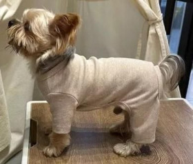 Інше Другое ^/--/^ Костюм Комбинезон Пижама для мелких пород собак XL ^_^^^ Костюм Комбінезон Піжама для дрібних порід собак XL - фото фото фото