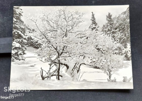 СРСР СССР ^/--/^ PK Поштова картка СРСР Фотоиздат Зимний пейзаж ^_^^^ PK Почтовая карточка СССР Фотоиздат Зимний пейзаж - фото фото фото