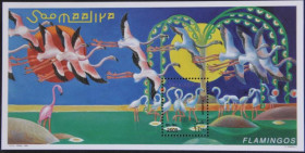 Інше Другое ^/--/^ Сомали Фауна Птицы Фламинго 1998 ^_^^^ Сомалі Фауна Птахи Фламінго 1998 - фото фото фото