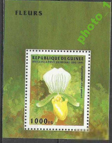 Гвінея Гвинея ^/--/^ Гвинея 1995 флора орхидеи бл. ^_^^^ 1995 флора орхідеї бл. - фото фото фото