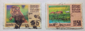 Шрі-Ланка Шри-Ланка ^/--/^ Цейлон 1970 Дикие животный  (2 марки), гашеные ^_^^^ 1970 — Дикі тварини (2 марки), гашені - фото фото фото