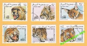 Фауна Фауна ^/--/^ 1997 СОМАЛИ Фауна Тигр Кошки Животные 6 /--/ м ПолнСерия ^_^^^ 1997 СОМАЛИ Фауна Тигр Кішки Тварини 6 /--/ м ПолнСерія - фото фото фото