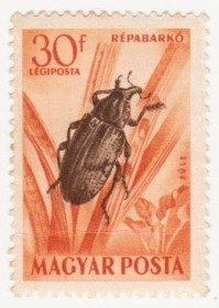 Угорщина Венгрия ^/--/^ Венгрия 1954 г. №  1377 * ^_^^^ Угорщина 1954 р. No 1377* - фото фото фото