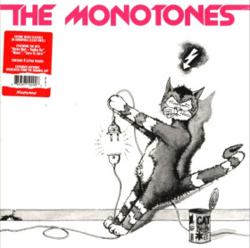 Платівки Пластинки ^/--/^ The Monotones - The Monotones - 1979-82.  (LP). 12. Vinyl. Пластинка. S/S ^_^^^ The Monotones - 1979-82. 12. Vinyl. Платівка. S/S - фото фото фото