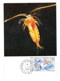 Тематичні колекції Тематические коллекции ^/--/^ NM Фауна  ТААФ  /  TAAF  1990 г  ПО / PC ^_^^^ NM Фауна ТААФ / TAAF 1990 - фото фото фото