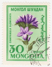 Монголія Монголия ^/--/^ Монголия 1960 г. № 189 гашеная ^_^^^ Монголія 1960 р. No 189 гашена - фото фото фото