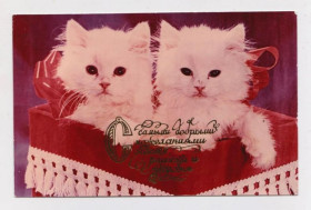 СРСР СССР ^/--/^ КОТ - КОТЯТА  начало 1990-х гг. - КООПЕРАТИВ  п/п  ^_^^^ КОТ - КОТЯТА початок 1990-х рр. Кооператив п/п - фото фото фото