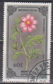 Флора Флора ^/--/^ Монголия 1986 флора цветы ^_^^^ Монголія 1986 флора квіти - фото фото фото
