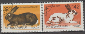 Фауна Фауна ^/--/^ Болгария Болгарія 1986 фауна ^_^^^ Болгария Болгария 1986 фауна - фото фото фото