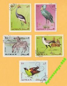 ОАЕ ОАЭ ^/--/^ ОАЭ 1969 ФАУНА Аджман ПТИЦЫ Животные Зебра 5 /--/ м ^_^^^ ОАЕ 1969 Фауна Аджман Птахи Тварини Зебра 5 /--/ м - фото фото фото