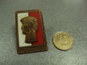 Відзнаки Знаки отличий ^/--/^ отличный воин солдат 2 класс польша №541 ^_^^^ Відмінний воїн солдат 2 клас польща No /--/ 541 - фото фото фото