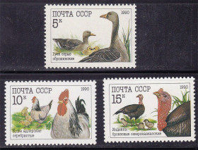 СРСР - СССР - ^/--/^ СССР  1990 г   MNH - фауна - птицы ^_^^^ СРСР 1990 р MNH - фауна - птахи - фото фото фото
