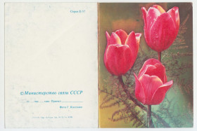 СРСР СССР ^/--/^ Цветы телеграмма 1983 Р /--/ 11 ^_^^^ Квіти телеграма 1983 Р /--/ 11 - фото фото фото