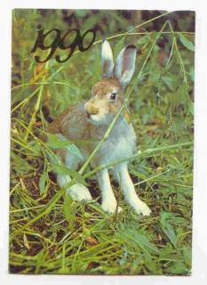 Календарі Календари ^/--/^ СССР 1990 Календарик  Флора Фауна Заяц ^_^^^ 1990 — Календарик Флора Фауна Заєць - фото фото фото