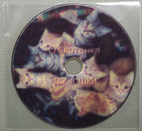 Наукове / Документальне кіно Научное / Документальное кино ^/--/^ «От котёнка до кошки» ^_^^^ «Від кошеня до кішки» - фото фото фото