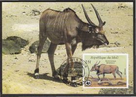 Малі Мали ^/--/^ Мали 1986 WWF ФАУНА ДИКИЕ ЖИВОТНЫЕ МЛЕКОПИТАЮЩИЕ АНТИЛОПЫ ПРИРОДА Четыре КМ Mi.1078-1081 EUR 25.-!!! ^_^^^ Малі 1986 WWF ФАУНА ДІКІ ТВОТНІ МЛЕКОПІТНІ АНТИЛОПИ ПРИРОДУ Чотири КМ Mi.1078-1081 EUR 25.-!! ! - фото фото фото