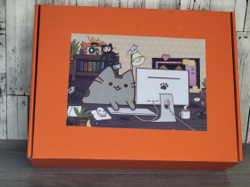 Сувенири Сувениры ^/--/^ Бокс Pusheen Набір Пушин  аукціон від 300 грн. ^_^^^ Бокс Pusheen Набор Пушин аукцион от 300 грн. - фото фото фото