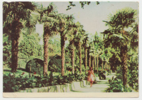 СРСР СССР ^/--/^ Крим Алупка 1964 Угрінович Р /--/ 11 /--/ А ^_^^^ Крым Алупка 1964 Угринович Р /--/ 11 /--/ А - фото фото фото