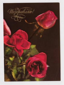 СРСР СССР ^/--/^ ПОЗДРАВЛЯЮ - РОЗЫ - ЦВЕТЫ   ДМПК 1976 г.  КОМЛЕВ, РАСКИН  чистая  ^_^^^ Вітаю - квіти ДМПК 1976 р. Комлів, Раскін чиста - фото фото фото
