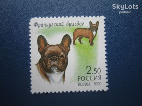 Фауна Фауна ^/--/^ Марка 2000 фауна собака порода французський бульдог MNH ^_^^^ 2000 ф фауна собака порода французький бульдог MNH - фото фото фото