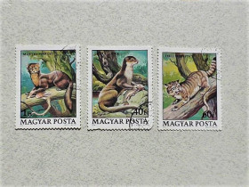 Угорщина Венгрия ^/--/^ Серія поштових марок Угорщина 1979 рік ^_^^^ Серия почтовых марок Венгрия &amp;quot; Флор Фауна &amp;quot; 1979 год - фото фото фото