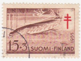 Скандинавія Скандинавия ^/--/^ Финляндия 1955 г. № 451 гашеная ^_^^^ Фінляндія 1955 р. No 451 гашена - фото фото фото