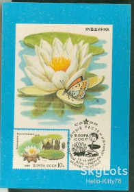 Календарі Календари ^/--/^ СССР 1991 флора цветы картмаксимум на календарике 1984 СК 5436 ^_^^^ СРСР 1991 флора квіти картмаксимум на календарику 1984 СК 5436 - фото фото фото