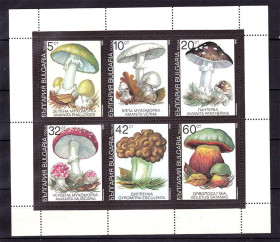 Флора Флора ^/--/^ Флора . Болгаоия 1990 г MNH - грибы - блок ^_^^^ Болгаоія 1990 р MNH - гриби - блок - фото фото фото
