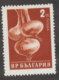Флора Флора ^/--/^ Болгария Болгарія 1958 флора овощи ^_^^^ Болгария Болгария 1958 флора овощи - фото фото фото