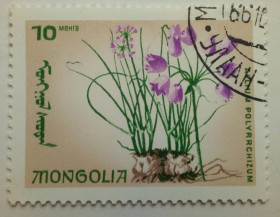 Монголія Монголия ^/--/^ Монголия 1966 Цветы, 10 /--/ М, гашеная ^_^^^ Монголія 1966 Квіти, 10 /--/ М, гашена - фото фото фото