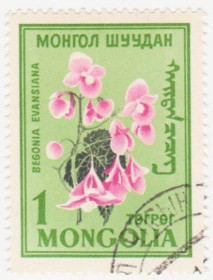 Монголія Монголия ^/--/^ Монголия 1960 г. № 192 гашеная ^_^^^ Монголія 1960 р. No 192 гашена - фото фото фото
