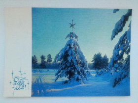 СРСР СССР ^/--/^ Почтовая карточка ДМПК СССР 1969 г. С НОВЫМ ГОДОМ! Фото БУШКИНА, чистая ^_^^^ Поштова картка ДМПК СРСР 1969 р. З Новим роком! Фото БУШКІНА, чиста - фото фото фото