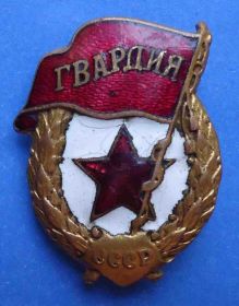 Відзнаки Знаки отличий ^/--/^ Гвардия военная ^_^^^ Гвардія військова - фото фото фото
