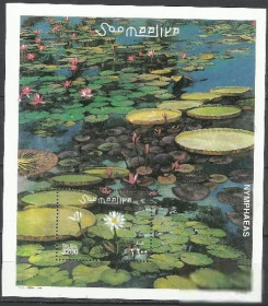 Інші країни Другие страны ^/--/^ Сомали 2001 флора водная бл. ^_^^^ Сомалі 2001 флора водна бл. - фото фото фото