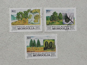 Монголія Монголия ^/--/^ Серія поштових марок Монголія 1982 рік ^_^^^ Серия почтовых марок Монголия &amp;quot; Флора &amp;quot; 1982 год - фото фото фото