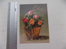 СРСР СССР ^/--/^ Открытка СССР С Новым годом! Фото Стейнерта 1985 г. ^_^^^ Листівка СРСР З Новим роком! Фото Стейнерта 1985 - фото фото фото
