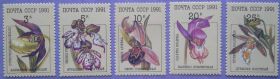 СРСР - СССР - ^/--/^ СССР 1991 флора цветы орхидеи СК 6248-6252 MNH ^_^^^ СРСР 1991 флора квіти орхідеї СК 6248-6252 MNH - фото фото фото