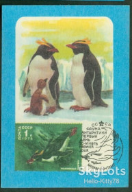 Календарі Календари ^/--/^ СССР 1986 фауна птицы Антарктида картмаксимум на календарике 1978 СК 3836 ^_^^^ СРСР 1986 фауна птиці Антарктида картмаксимум на календарику 1978 СК 3836 - фото фото фото