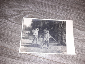 Україна Украина ^/--/^ Открытка  Птичьи враги СССР  1959 /--/ г. ^_^^^ Листівка Пташині вороги СРСР 1959 /--/ р. - фото фото фото