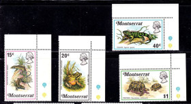 Фауна Фауна ^/--/^ Фауна . Монсеррат / Монтсеррат 1972 г  MNH - ^_^^^ Монсеррат / Монсеррат 1972 MNH - фото фото фото