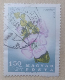 Флора Флора ^/--/^ Венгрия 1967 г - Мальва  (Althaea pallida), гаш ^_^^^ 1967 — Мальва (Althaea pallida), гаш - фото фото фото